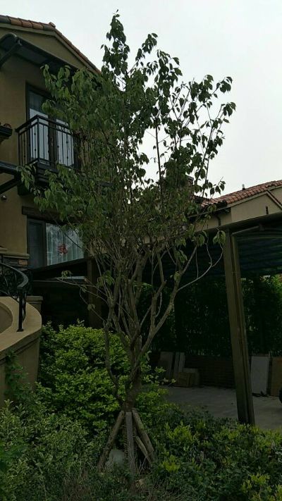 门窗衣架纱窗门窗衣架纱窗未编辑专业未编辑专业