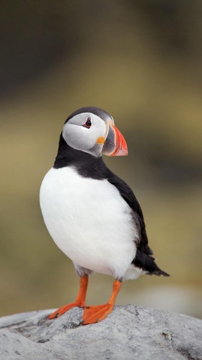 接电焊维修活长春电焊维修电焊上门维修上门电焊维修