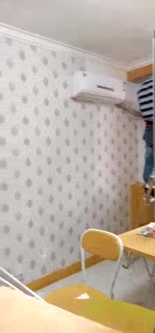 壁纸壁布施工未编辑专业未编辑专业未编辑专业