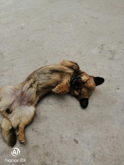 乳胶漆装修做乳胶漆装修未编辑专业未编辑专业