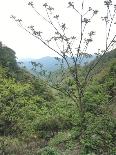 反馈客服留言投诉建议售后服务