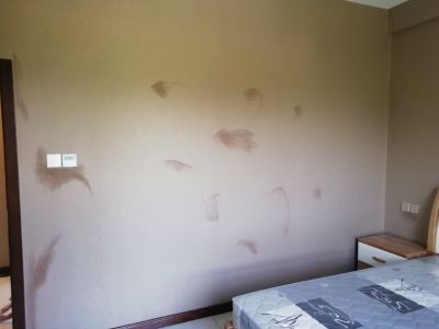 贴壁布壁布师傅未编辑专业未编辑专业