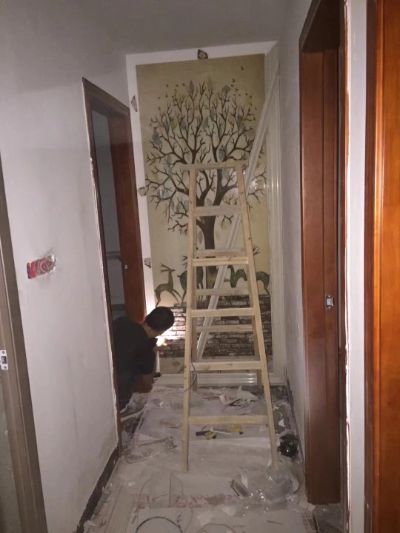 油漆工艺术墙硅藻泥印花