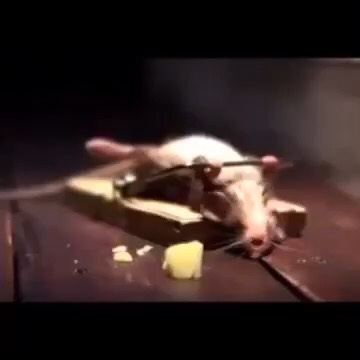 有钱就行未编辑专业未编辑专业未编辑专业