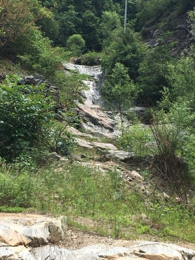 反馈客服留言投诉建议售后服务