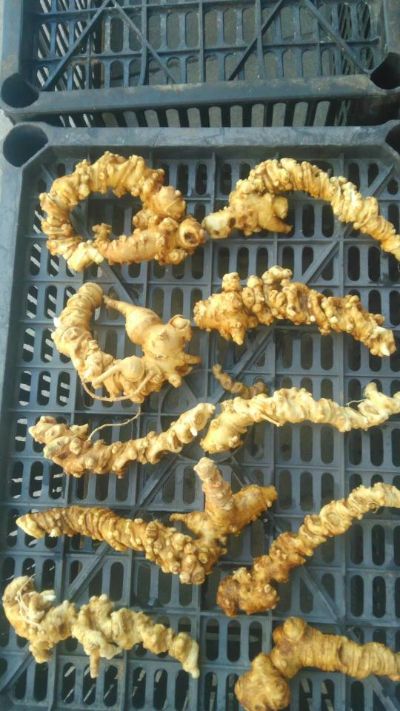 有车驾驶员代驾接送客户服装加工