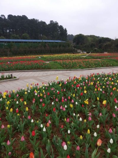 装修油漆师傅装修工油漆工维修装修师傅墙面翻新修补