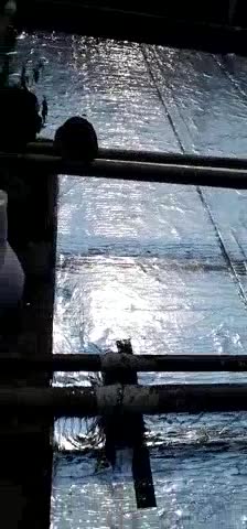 平价防水施工平价防水施工防水施工防水施工