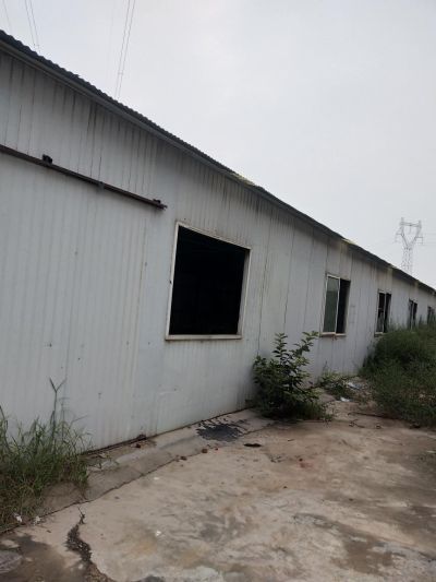 接单高价回收拆建未编辑专业未编辑专业