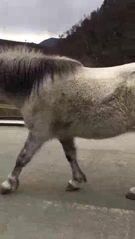 厨具洁具灯具水电安装水电维修