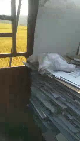 杂活专业干杂活未编辑专业未编辑专业