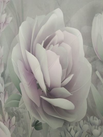 专业贴壁画专业贴壁纸未编辑专业未编辑专业