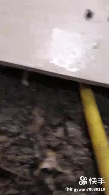 专业查漏水未编辑专业未编辑专业未编辑专业