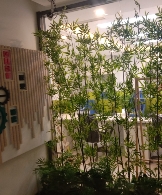 接瓦木油水电未编辑专业未编辑专业