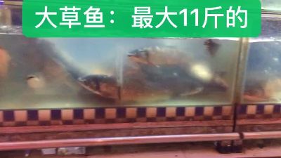 零售业水果与水产未编辑专业未编辑专业