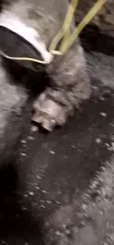 管道测漏清洗五金安装维修洁具安装维修管道疏通维修