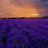 水电安装维修未编辑专业未编辑专业未编辑专业