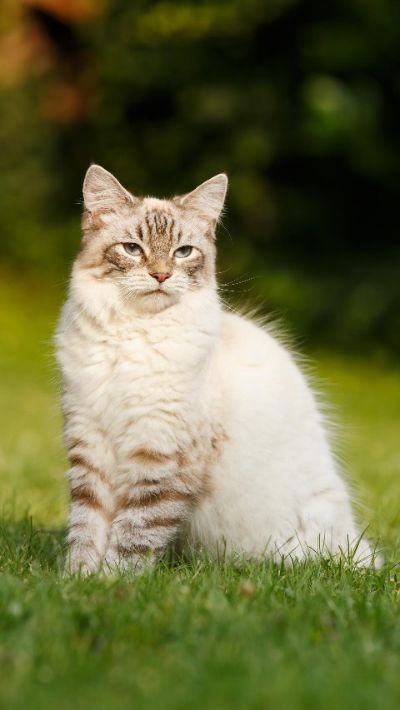 水电线路安装空调安装加氟热水器安装家电气灶维修