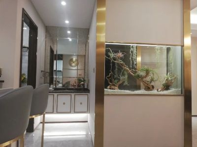 室内装饰维修电工施工室内外粉刷室内吊顶装饰