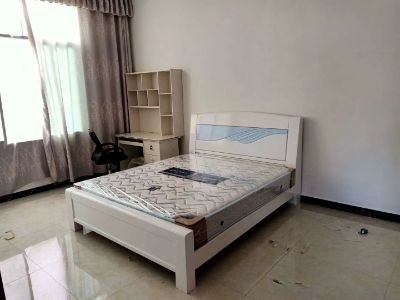 全屋定制安装水电安装蟑螂，白蚁办公家具安装