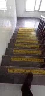 防水补漏瓷砖美缝除甲醛外墙蜘蛛人