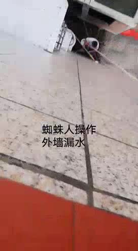 防水补漏瓷砖美缝除甲醛外墙蜘蛛人