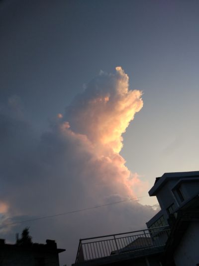 南丰蜜桔农业技术代驾汽车出租