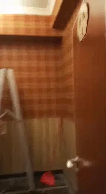 贴墙纸墙布玻璃纸安装地毯张铺未编辑专业