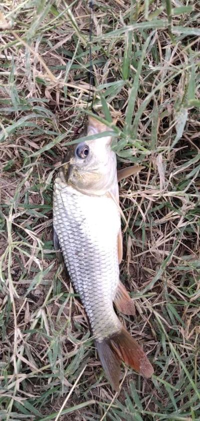 装修设计工程装修店面装修兼职代驾