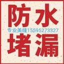 接单未编辑专业未编辑专业未编辑专业