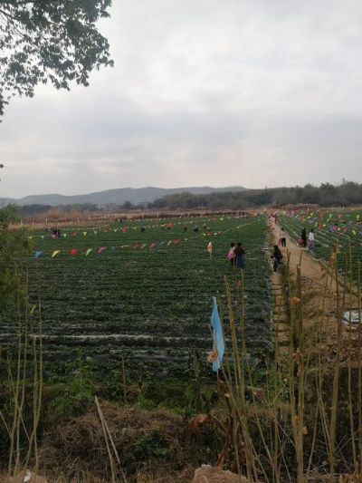 各类安装未编辑专业未编辑专业未编辑专业