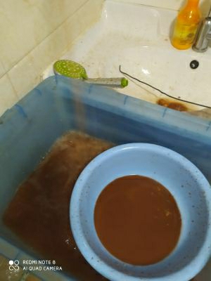 清洗家电清洗家电灵芝养生保健家电清洗