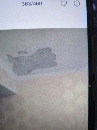 乳胶漆维修晾衣架维修安移门维修灯具安装