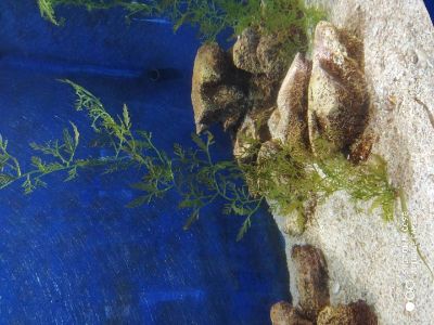 家电家电维修从业十八年未编辑专业