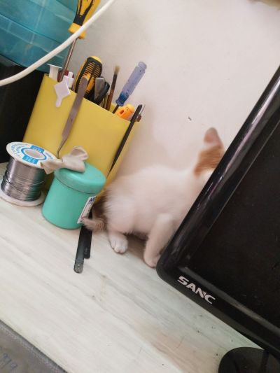 维修电脑维修手机未编辑专业未编辑专业