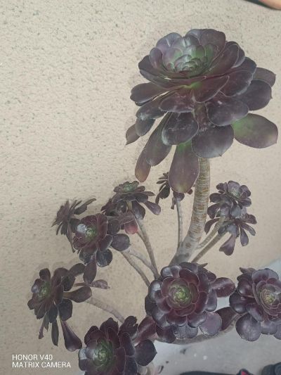 空调维修保养未编辑专业未编辑专业未编辑专业