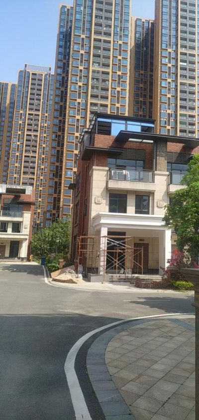 接单未编辑专业未编辑专业未编辑专业