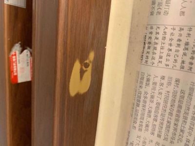 接未编辑专业未编辑专业未编辑专业