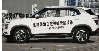白蚁蟑螂老鼠白蚁防治白蚁防治生物防治