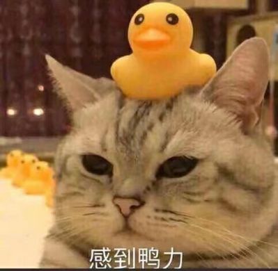 门面装修铁艺钢结构混凝土楼板水电改造