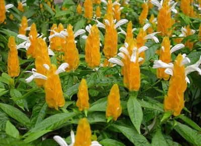 水电家具运输水暖安装调试