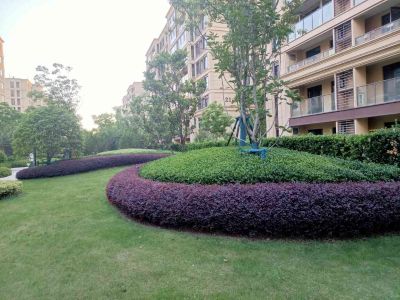 绿化养护未编辑专业未编辑专业未编辑专业