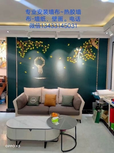 专业墙布专业安装墙布墙布墙纸壁画专业安装墙布