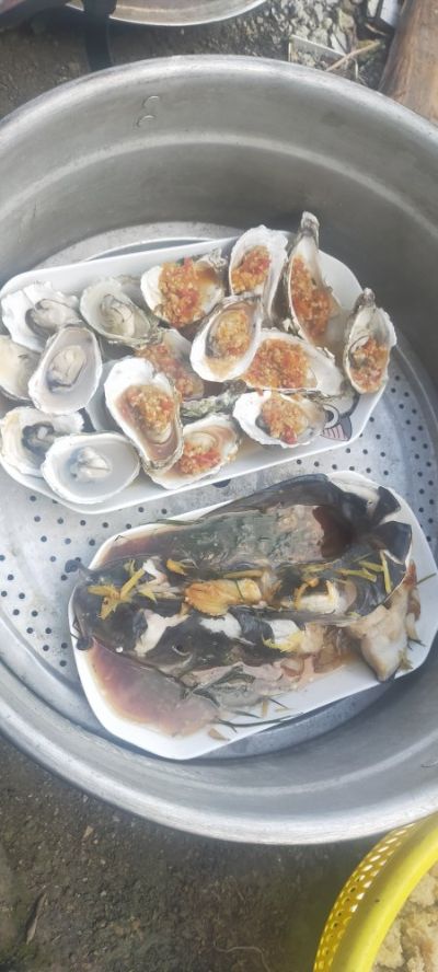 华服务深海集团未编辑专业未编辑专业