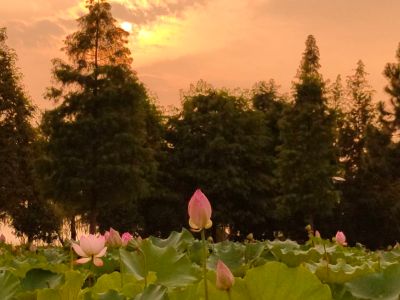 专业家政服务专业安装组装家电清洗保养安装电视机