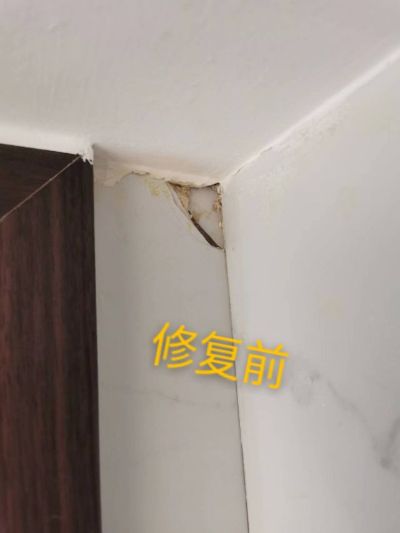 家具修复家具修复未编辑专业未编辑专业