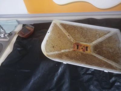 家政有限公司保洁家电清洗布艺清洗