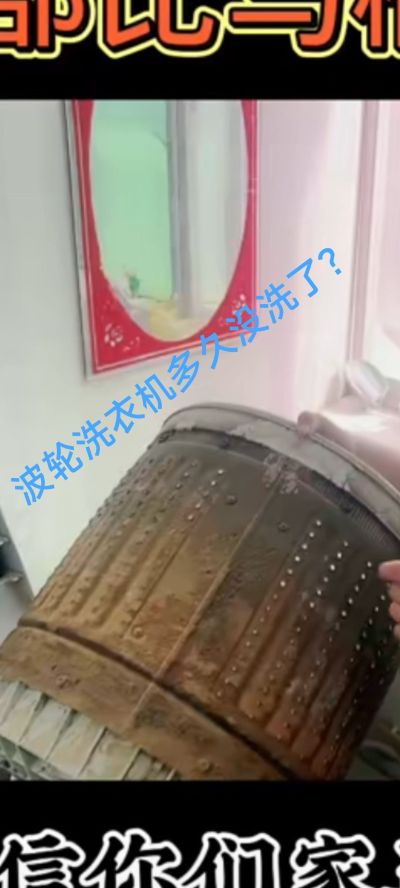 无家电清洗家具卫浴安装未编辑专业