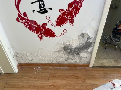 房屋维修防水防水补漏修补墙体未编辑专业