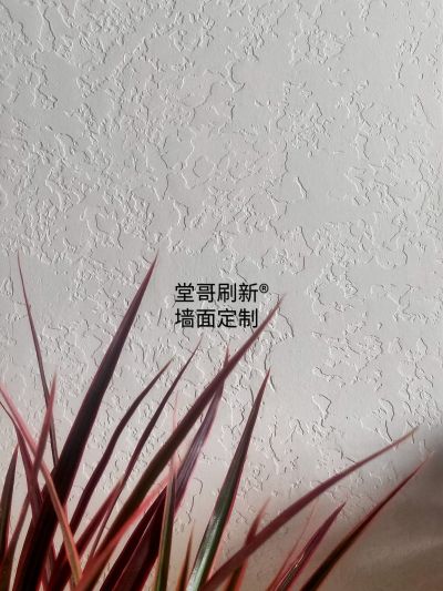 油工艺术涂料未编辑专业未编辑专业未编辑专业